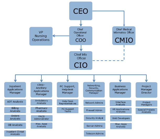 Hospital Information System Options