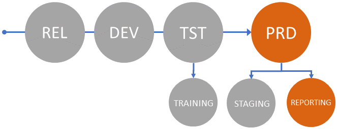 reporting shadow environment